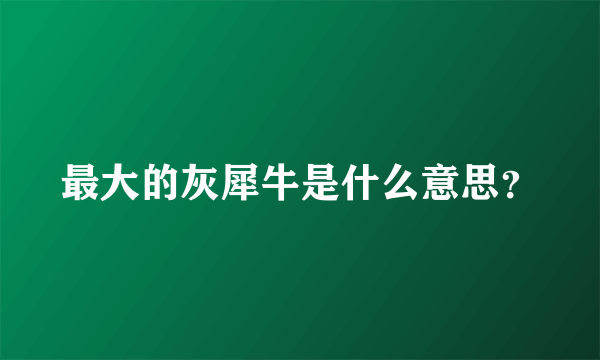 最大的灰犀牛是什么意思？