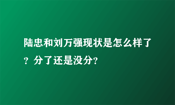 陆忠和刘万强现状是怎么样了？分了还是没分？