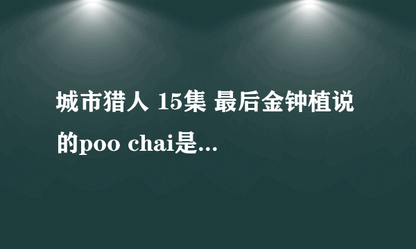 城市猎人 15集 最后金钟植说的poo chai是什么意思