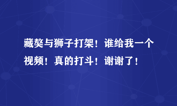 藏獒与狮子打架！谁给我一个视频！真的打斗！谢谢了！