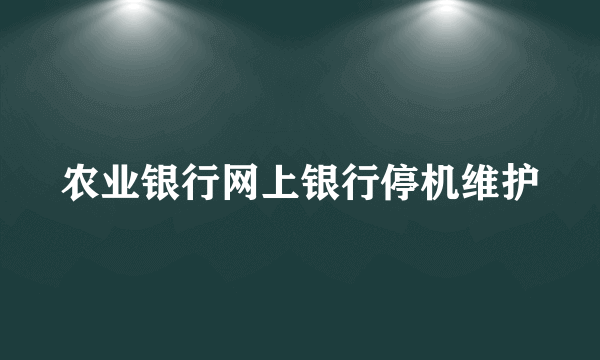 农业银行网上银行停机维护