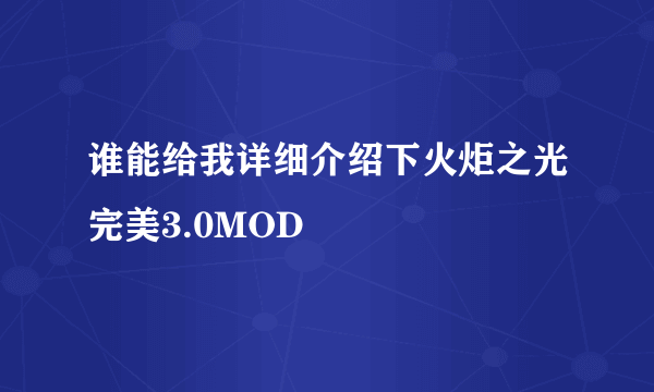 谁能给我详细介绍下火炬之光完美3.0MOD