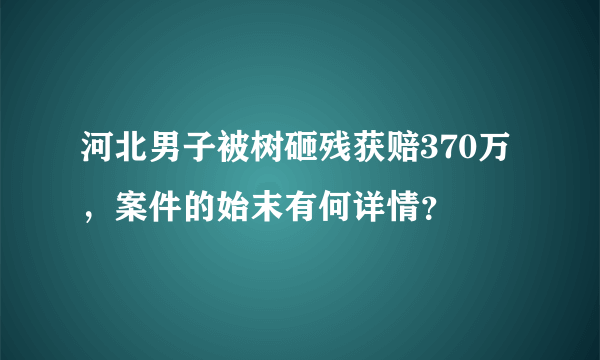 河北男子被树砸残获赔370万，案件的始末有何详情？