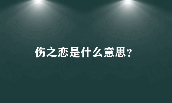 伤之恋是什么意思？