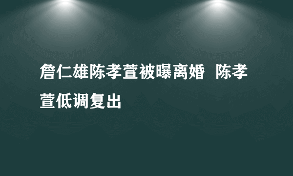 詹仁雄陈孝萱被曝离婚  陈孝萱低调复出