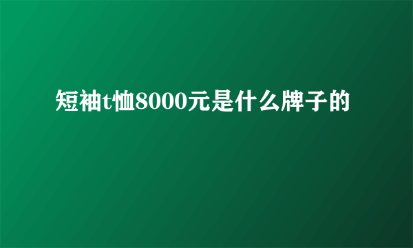 短袖t恤8000元是什么牌子的