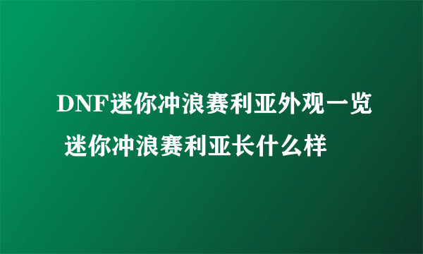 DNF迷你冲浪赛利亚外观一览 迷你冲浪赛利亚长什么样