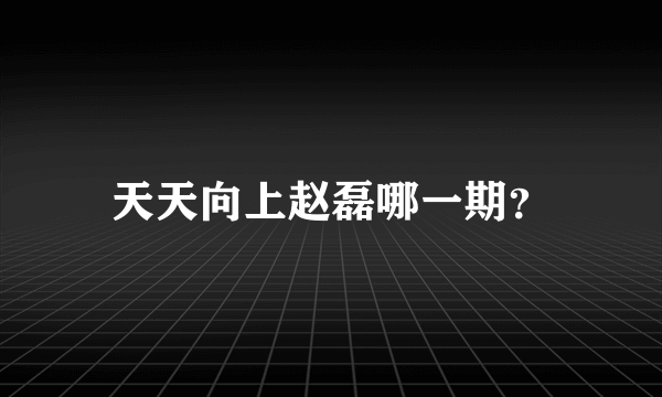 天天向上赵磊哪一期？