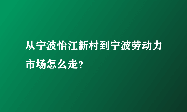 从宁波怡江新村到宁波劳动力市场怎么走？