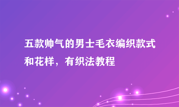 五款帅气的男士毛衣编织款式和花样，有织法教程