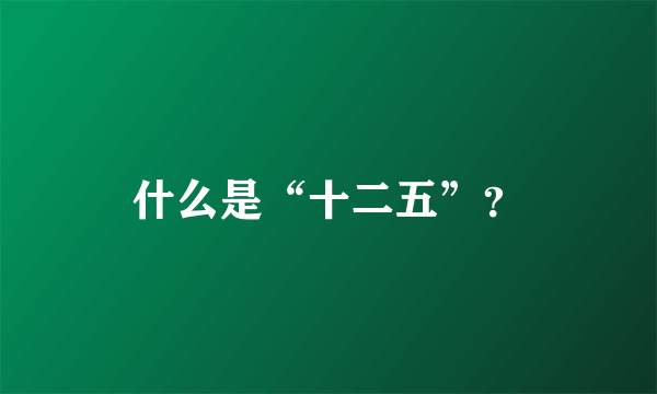 什么是“十二五”？