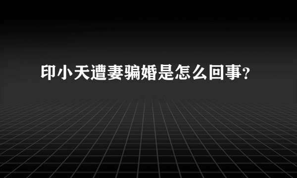 印小天遭妻骗婚是怎么回事？