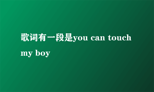 歌词有一段是you can touch my boy