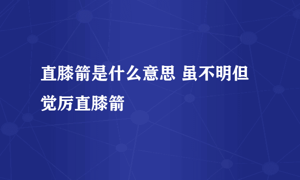 直膝箭是什么意思 虽不明但觉厉直膝箭