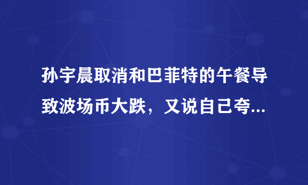 孙宇晨取消和巴菲特的午餐导致波场币大跌，又说自己夸大营销利润，这事你们怎么看的？