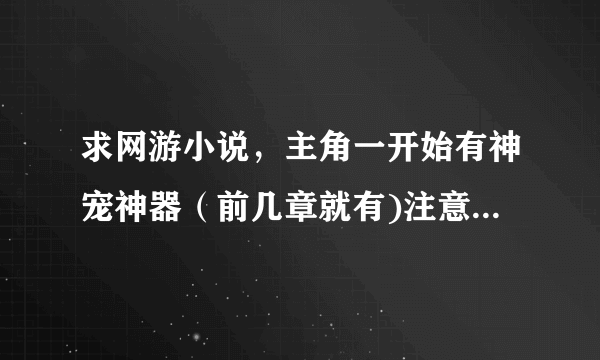 求网游小说，主角一开始有神宠神器（前几章就有)注意是网游小说。（不要从零开始·傲龙·我是死神)