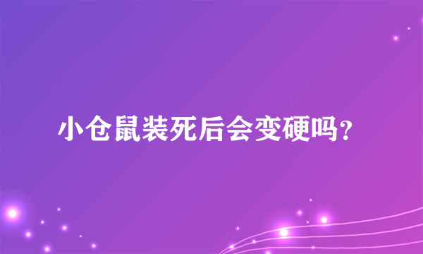 小仓鼠装死后会变硬吗？