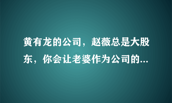 黄有龙的公司，赵薇总是大股东，你会让老婆作为公司的股东吗？为什么？