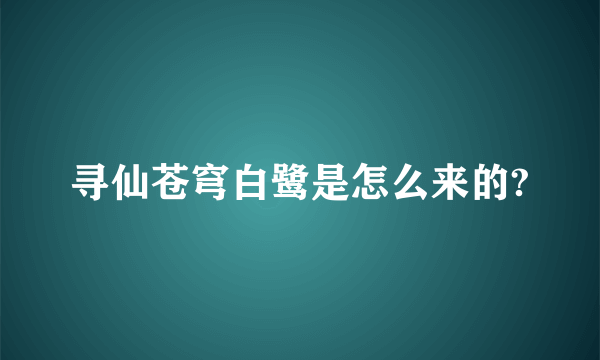 寻仙苍穹白鹭是怎么来的?