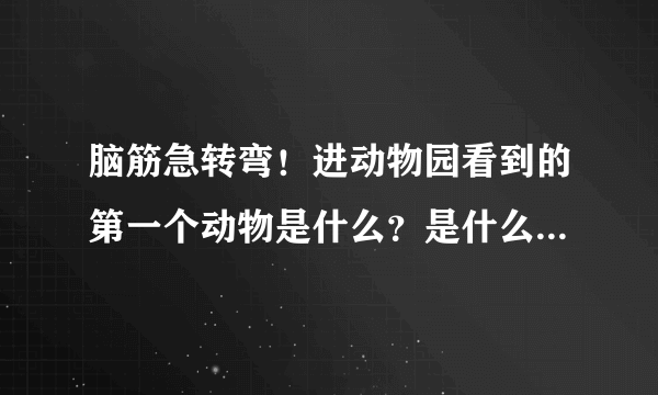 脑筋急转弯！进动物园看到的第一个动物是什么？是什么生肖动物