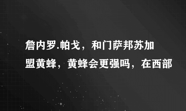 詹内罗.帕戈，和门萨邦苏加盟黄蜂，黄蜂会更强吗，在西部