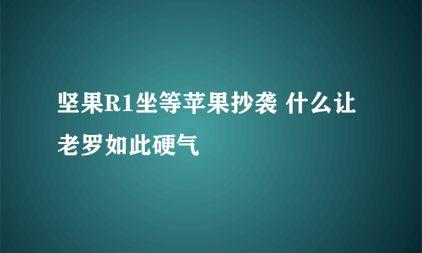 坚果R1坐等苹果抄袭 什么让老罗如此硬气