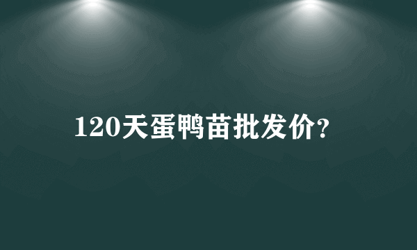 120天蛋鸭苗批发价？