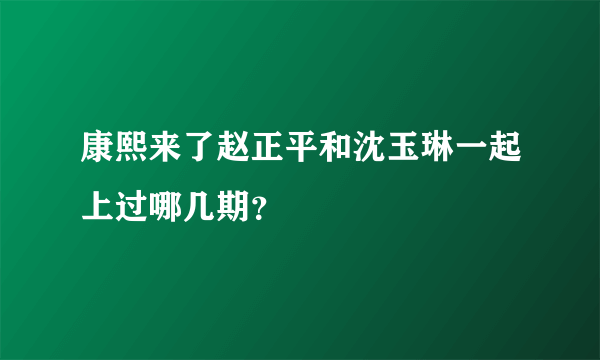 康熙来了赵正平和沈玉琳一起上过哪几期？