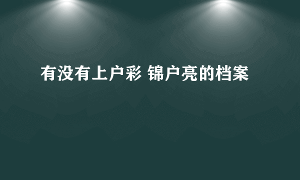 有没有上户彩 锦户亮的档案