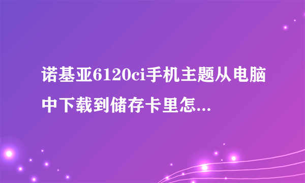 诺基亚6120ci手机主题从电脑中下载到储存卡里怎么找不到啊？