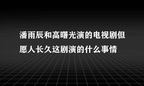 潘雨辰和高曙光演的电视剧但愿人长久这剧演的什么事情