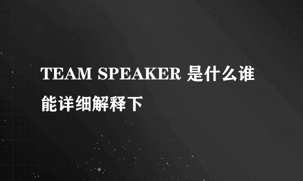 TEAM SPEAKER 是什么谁能详细解释下