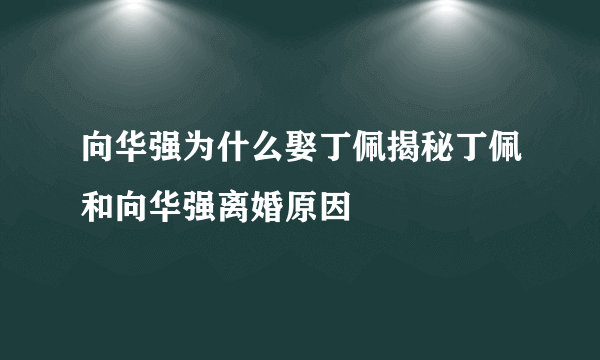 向华强为什么娶丁佩揭秘丁佩和向华强离婚原因