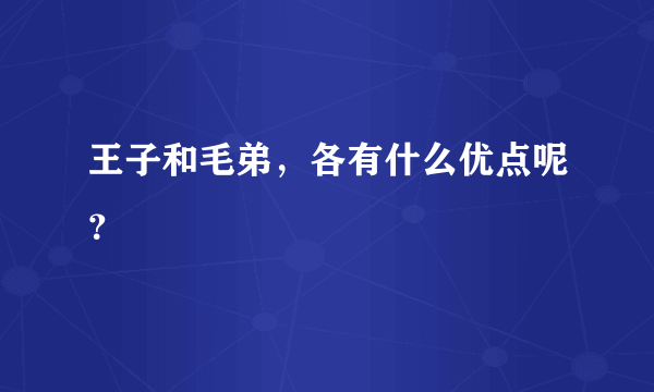 王子和毛弟，各有什么优点呢？