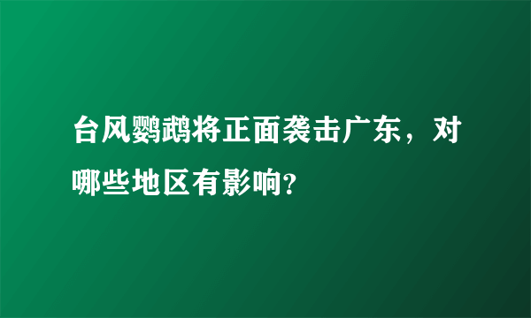 台风鹦鹉将正面袭击广东，对哪些地区有影响？