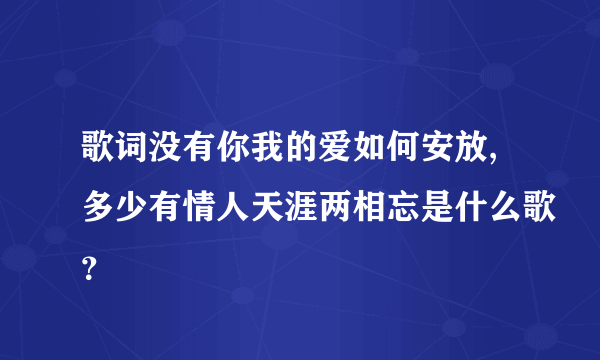 歌词没有你我的爱如何安放,多少有情人天涯两相忘是什么歌？