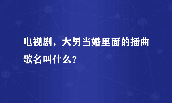 电视剧，大男当婚里面的插曲歌名叫什么？