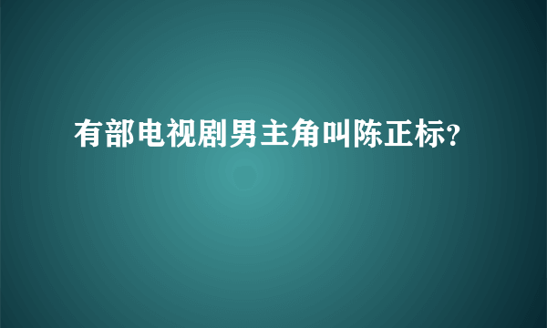 有部电视剧男主角叫陈正标？