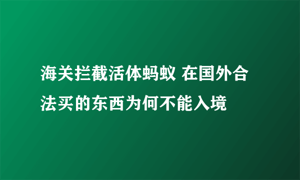 海关拦截活体蚂蚁 在国外合法买的东西为何不能入境