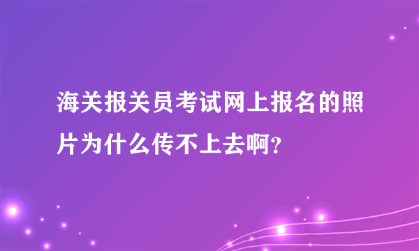 海关报关员考试网上报名的照片为什么传不上去啊？