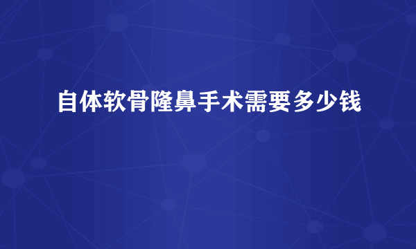 自体软骨隆鼻手术需要多少钱