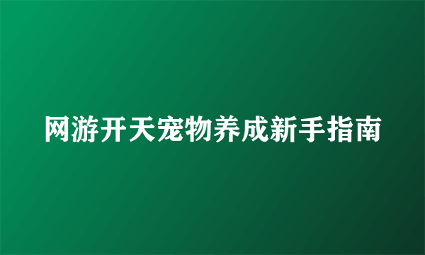 网游开天宠物养成新手指南