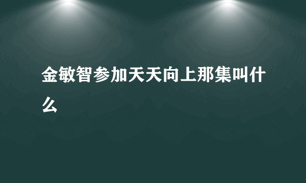 金敏智参加天天向上那集叫什么