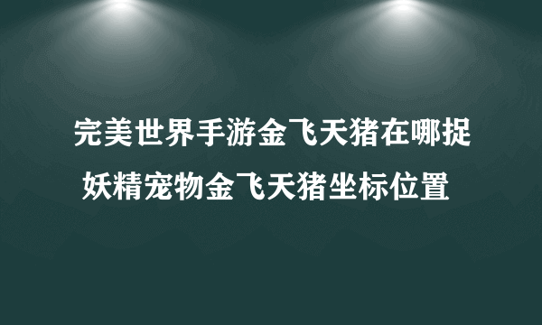 完美世界手游金飞天猪在哪捉 妖精宠物金飞天猪坐标位置