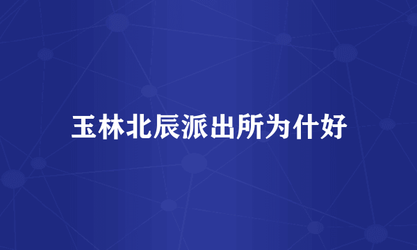 玉林北辰派出所为什好