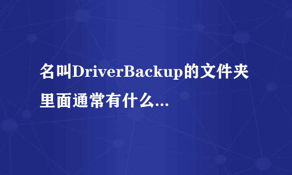 名叫DriverBackup的文件夹里面通常有什么样的软件？