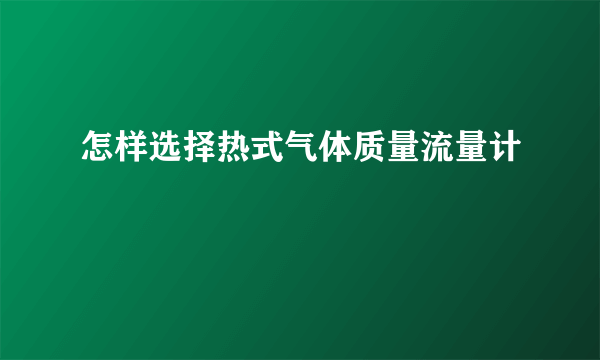 怎样选择热式气体质量流量计