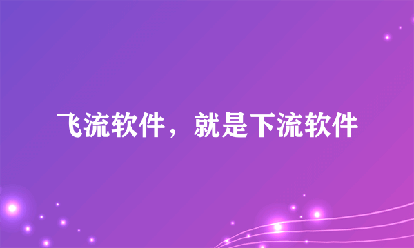 飞流软件，就是下流软件