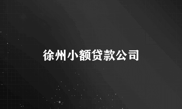 徐州小额贷款公司