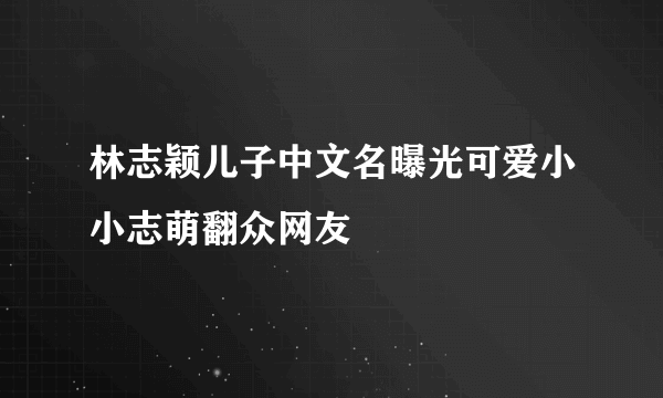 林志颖儿子中文名曝光可爱小小志萌翻众网友